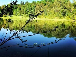 NATURE IS BLISS Photo By: MzBliss