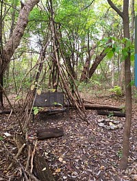 Housing Crisis be like...